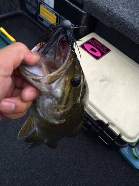 {59159BFF-1B42-4C1E-97F3-227D2D240C50:01}