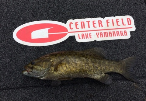 {AB0B6746-9F97-4914-933C-EAE60CB1F072:01}