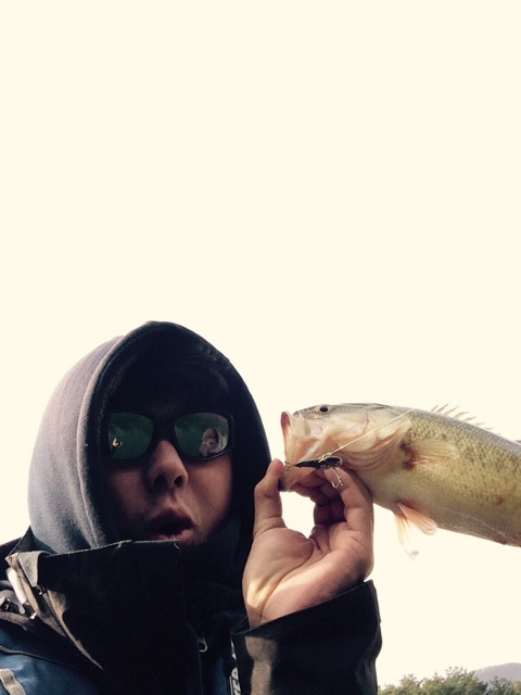 {F4CD4738-FFDD-46E4-AE7C-20BB35863FC9:01}