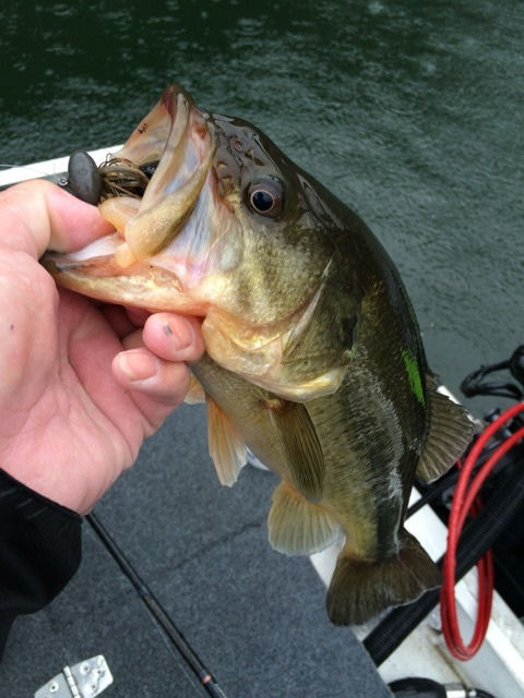 {A9D70C88-02F0-4F1A-8143-57798DAB9356:01}