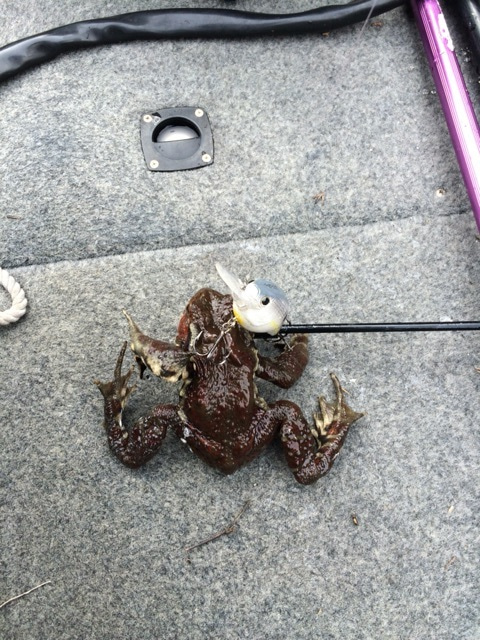 {11E9E09A-B20B-4621-9D98-6C0D6E09D26E:01}