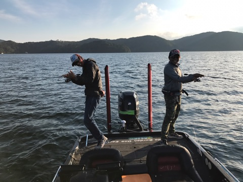 {60BD1B6D-54D3-4E31-8E87-851A124FC38B}