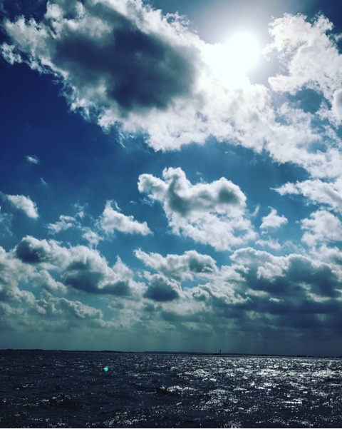 {EDA8F736-C355-4A99-8F3F-269805B0E500}